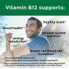 Nature Made Vitamin B12 1000 mcg Softgels;  Dietary Supplement;  270 Count
