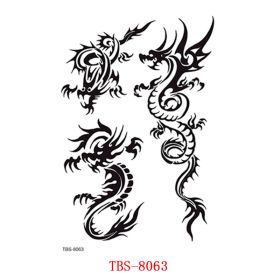 Waterproof Tattoo With Totem Characters (Option: 8063.)